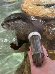 -Zoolung Zoolung动物主题公园(海信广场店)