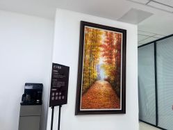 -薇兰专业脱毛连锁机构