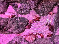 -沈阳海洋探索中心