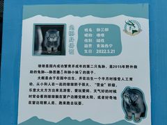 -青藏高原野生动物园