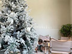 -J Create城市露营咖啡·简餐·宠物(上海动物园店)