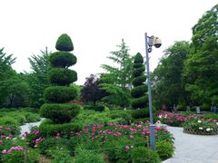 -宝鸡植物园