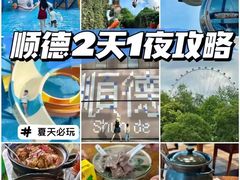 -圣淘沙天际线斜坡滑车