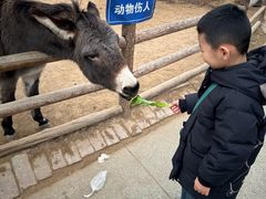 -太原动物园