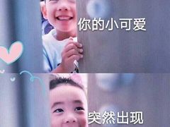 -皇冠幸福里动物奶油生日蛋糕(光谷软件园店)