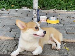 -利杨记·本味轩粥坊·烧烤(宝体店)
