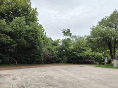 -八大山人梅湖景区