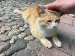 -欢乐松鼠谷