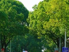 -华东政法大学(松江校区)