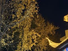 -奇芳阁·百年清真南京菜(夫子庙店)