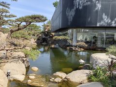 -罗红摄影艺术馆