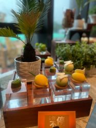 点击看大图 -金茂深圳JW万豪酒店·宴会厅