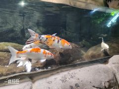 -南昌海洋公园