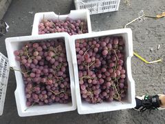 -南京众彩农副产品配送有限公司