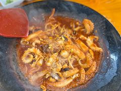 八爪鱼微辣-红辣椒八爪鱼特色韩国料理