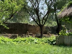 -北京野生动物园