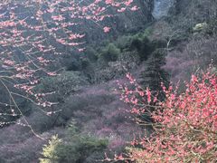 -楠溪江风景名胜区