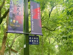 -城隍阁