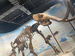 -辽宁古生物博物馆