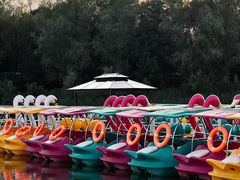 -大兴滨河森林公园