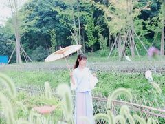 -桤木河湿地公园