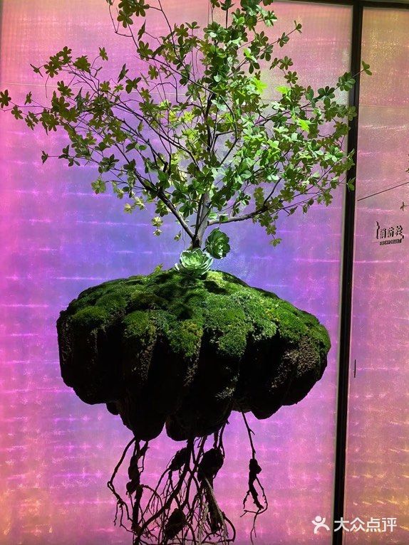 哇哦我竟然在一家饭馆里近距离看了一场川剧变脸....