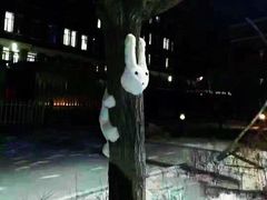 -辽宁大学(崇山校区)