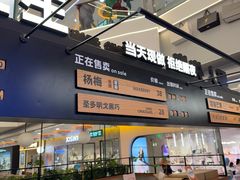 -野人先生Gelato(上海长宁龙之梦店)