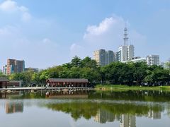 -映月湖公园