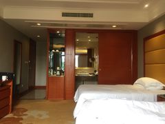 -圣爵菲斯大酒店(长沙世界之窗店)