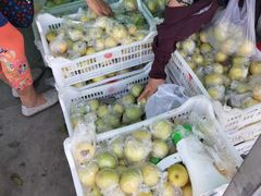 -何庄子阿米玛玛农产品批发市场