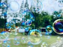 -前小桔亲子创意农场·草莓采摘·露营烧烤