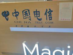 -中国电信(南京东路营业厅)