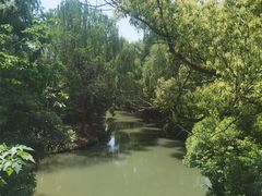 -同里国家湿地公园