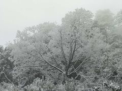 -东天目山风景区