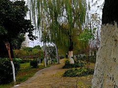 景点-八大山人梅湖景区