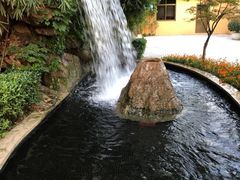 -热带风暴水上乐园(新镇路)