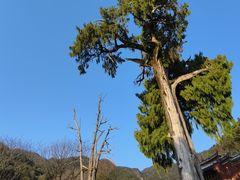 -灵光寺