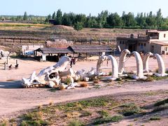 -镇北堡西部影城