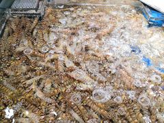 -盒马鲜生(馥邦国际店)