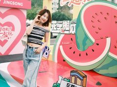 -红星美凯龙北京至尊MALL(东四环中路店)