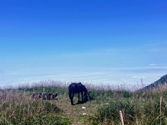 -萍乡武功山风景名胜区