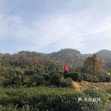 茶人村杭帮菜