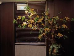 -龙宴海鲜城(经中路店)