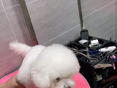 -宠福鑫康馨动物医院·骨科·眼科