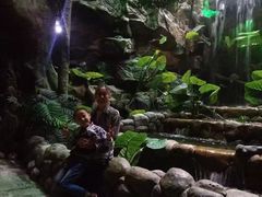 -多彩贵州城极地海洋世界