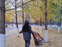 -长白岛森林公园