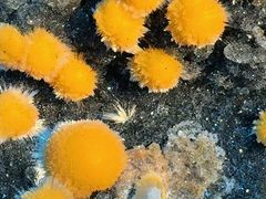 -南京维景国际大酒店(南京博物院店)