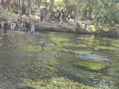 -水磨沟公园