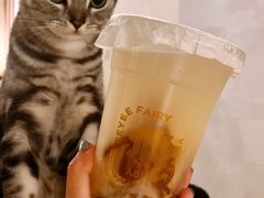 -喜茶(深圳福田星河COCO Park店)